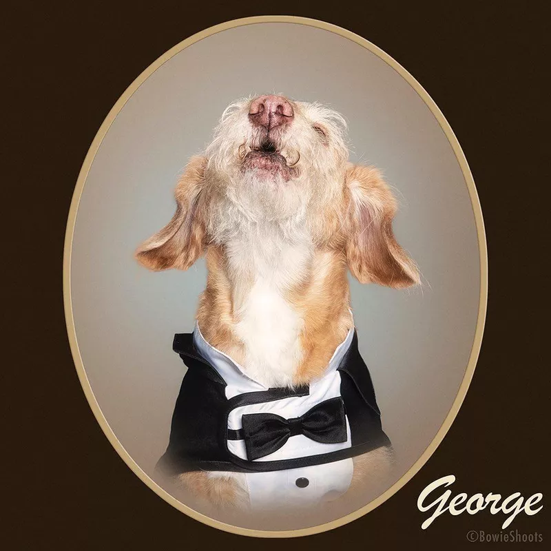 George howling