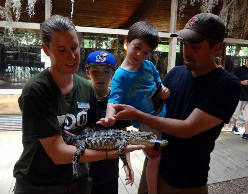 People petting alligator at Topeka Zoo