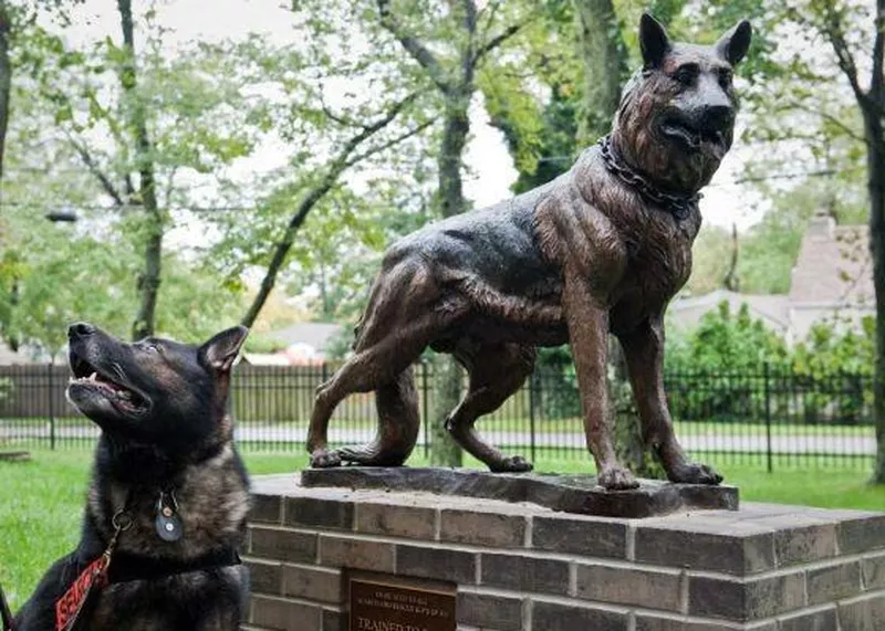 Statue of Apollo, a search and rescue dog