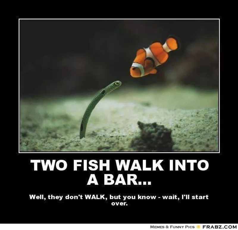 Clown fish bad meme