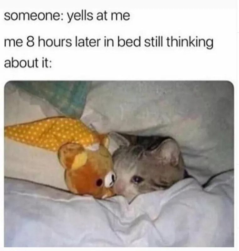 Cat crying bed