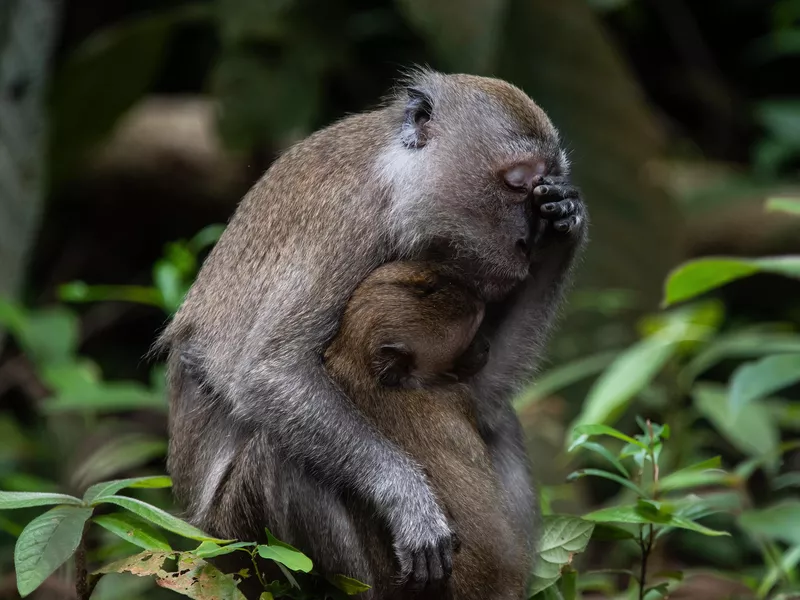 Mum life