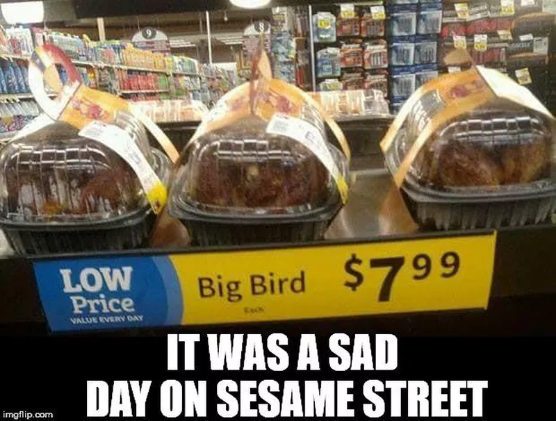 Funny big bird meme