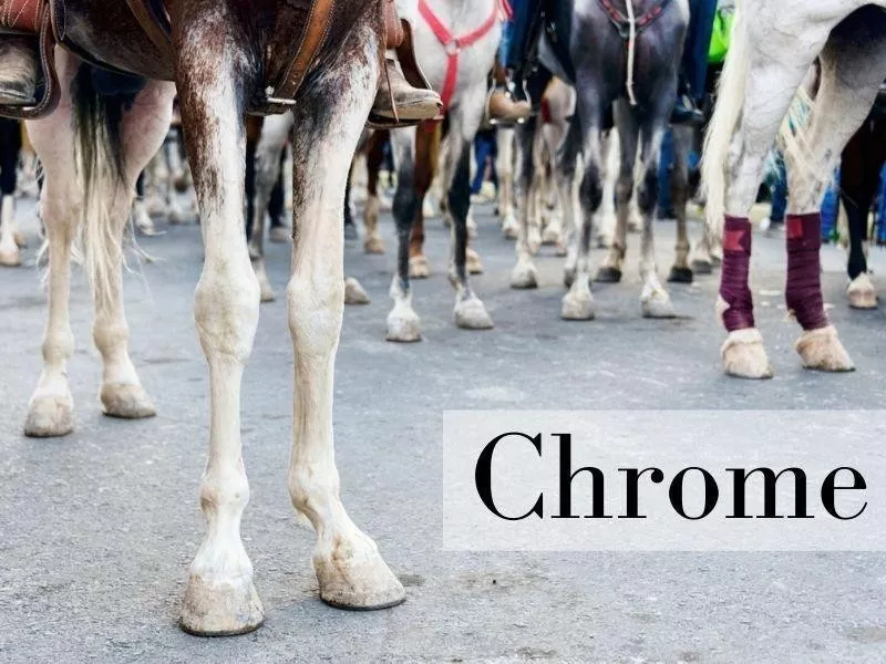 Chrome