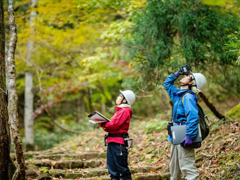 Two researchers measure trees for a reforestation and resource management purposes