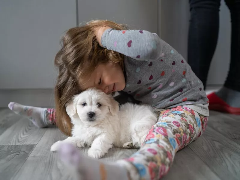 Cute girl sitting on floor and playing with her little puppy