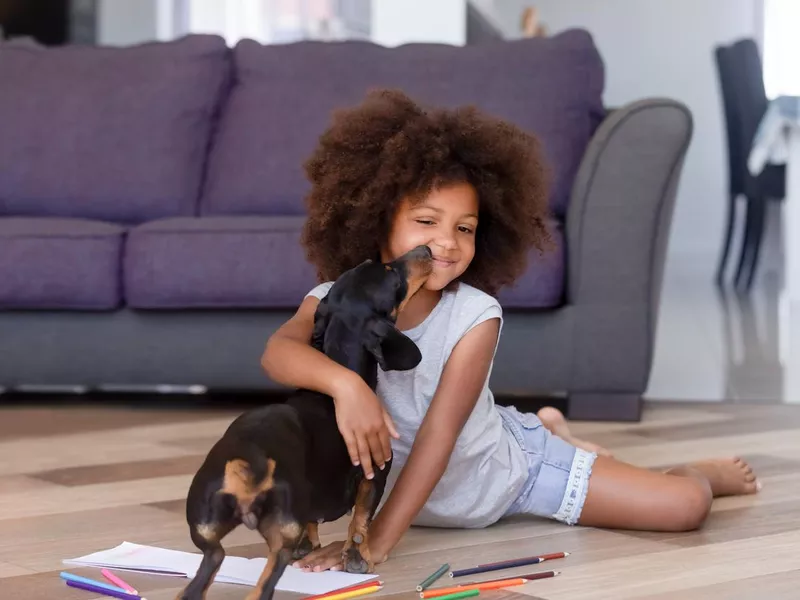 Little girl playing with dachshund puppy