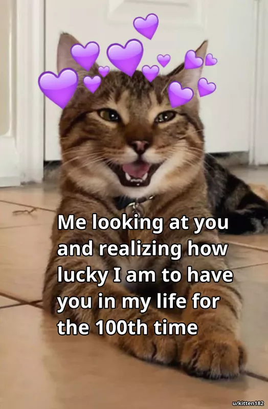 smiling cat