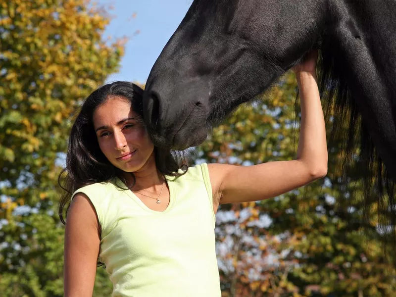 Fresian horse with friend