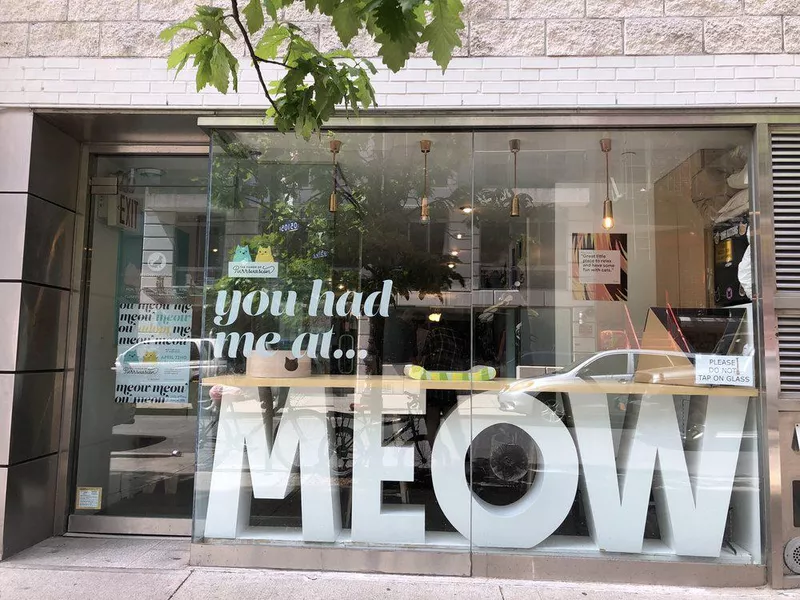 Meow Parlor