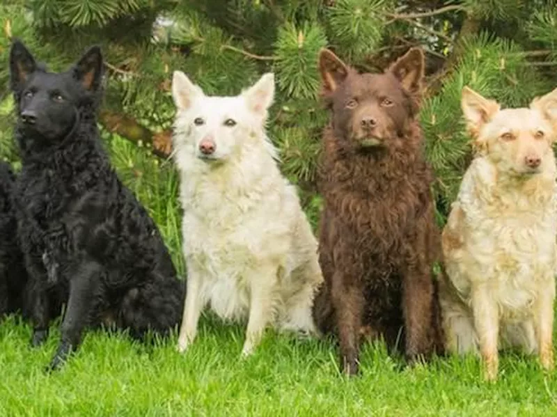 Different colors