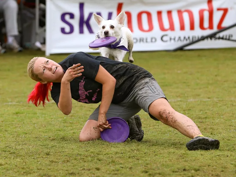 Disc Dog and Handler