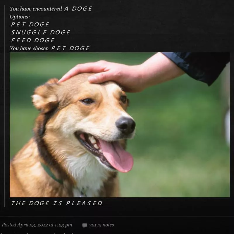 Doge meme on Tumblr