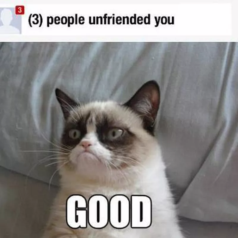 Unfriended
