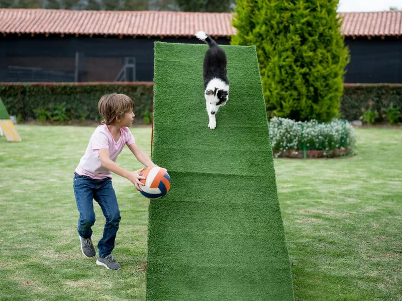 Young dog trainer at an obstacle course