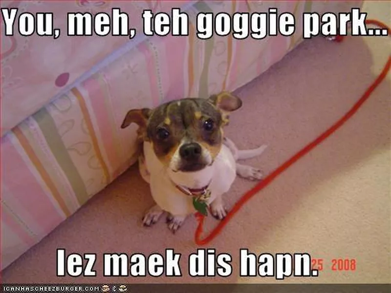 Let's go to the doggie park meme