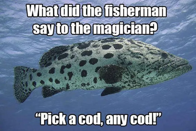 Cod Pun