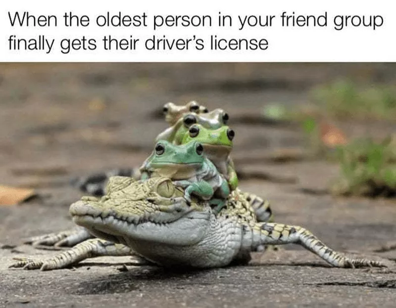 When the oldest person in your friend group gets a license