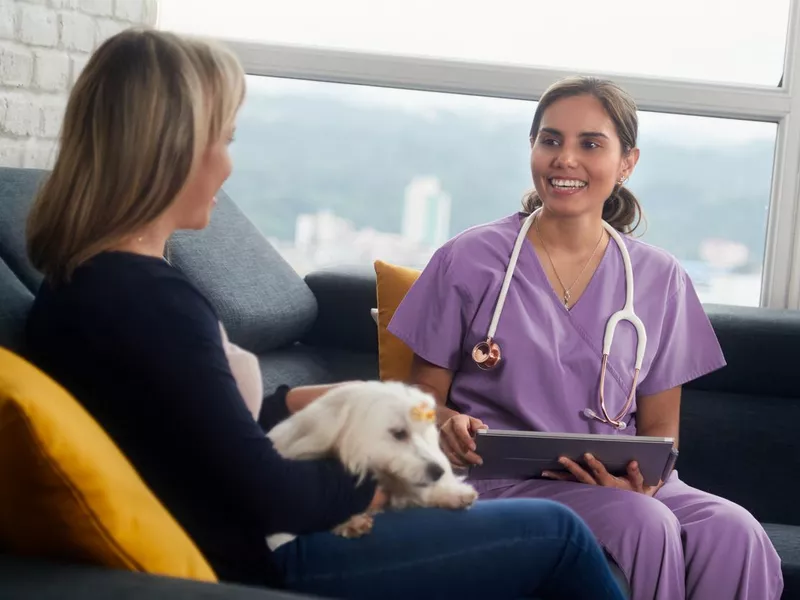 Veterinary With Dog Owner And Pet During Home Visit