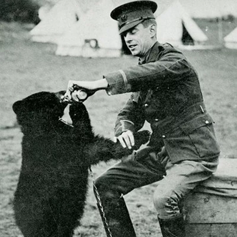 Winniepeg the bear (Winnie the Poo) and her owner