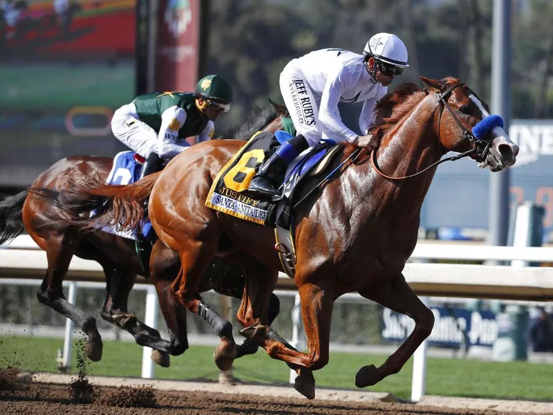 Justify