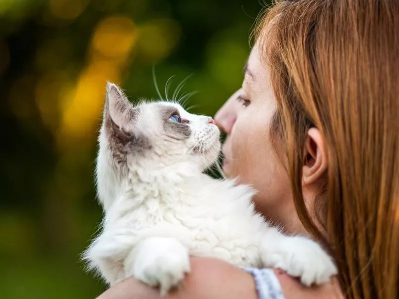 Living with Pets