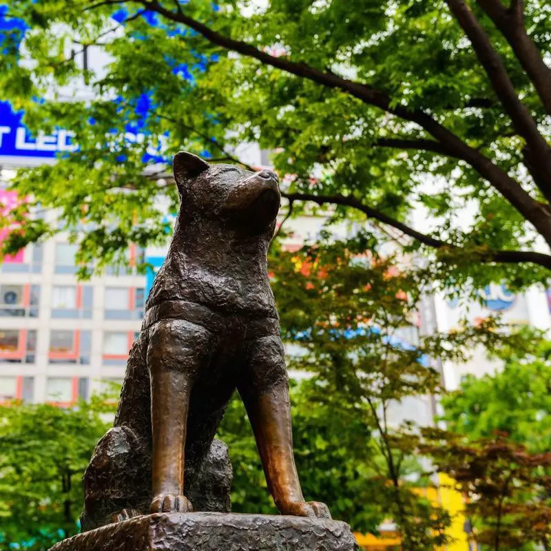 Hachiko Shiba Inu statue
