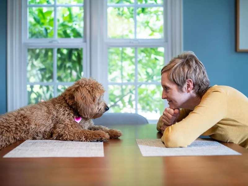 Woman and Her Puppy At the Table