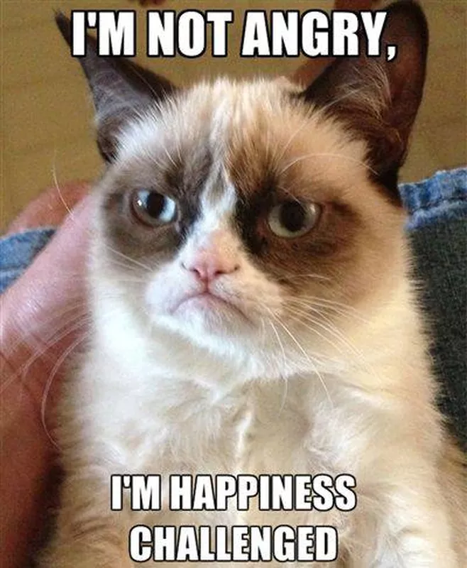 Happiness challenged