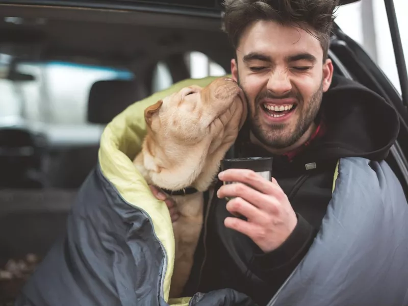 Cute dog licking owner's face