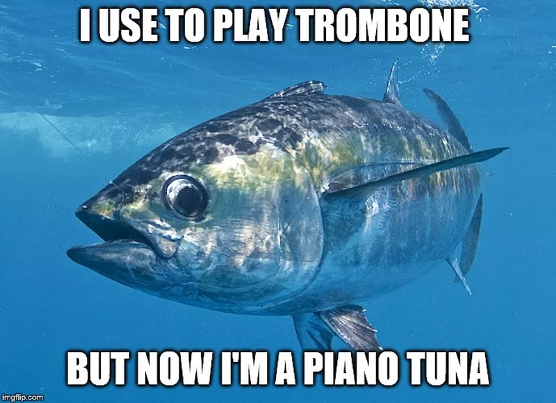 Tuna funny pun meme