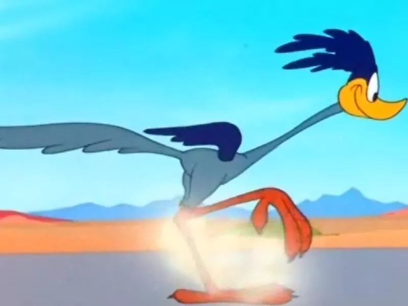 Road Runner