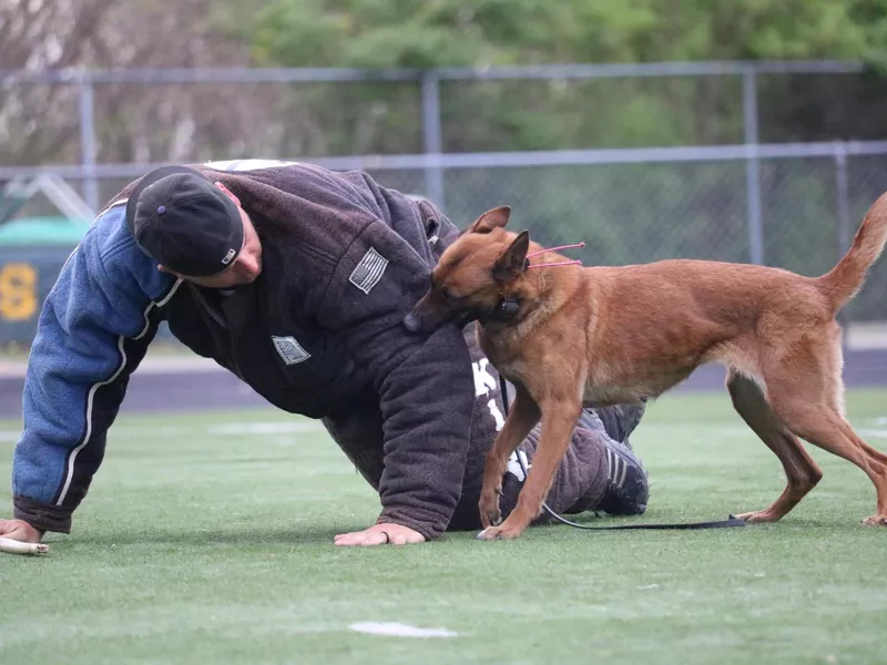 Protection Sport