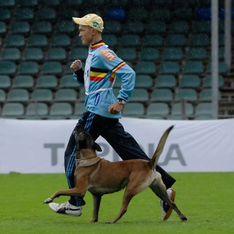 Schutzhund
