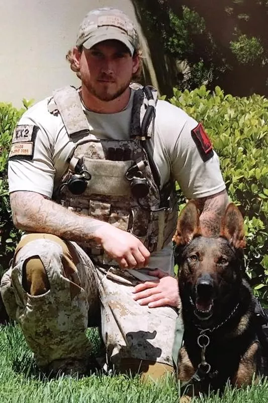 Cairo, a military working dog