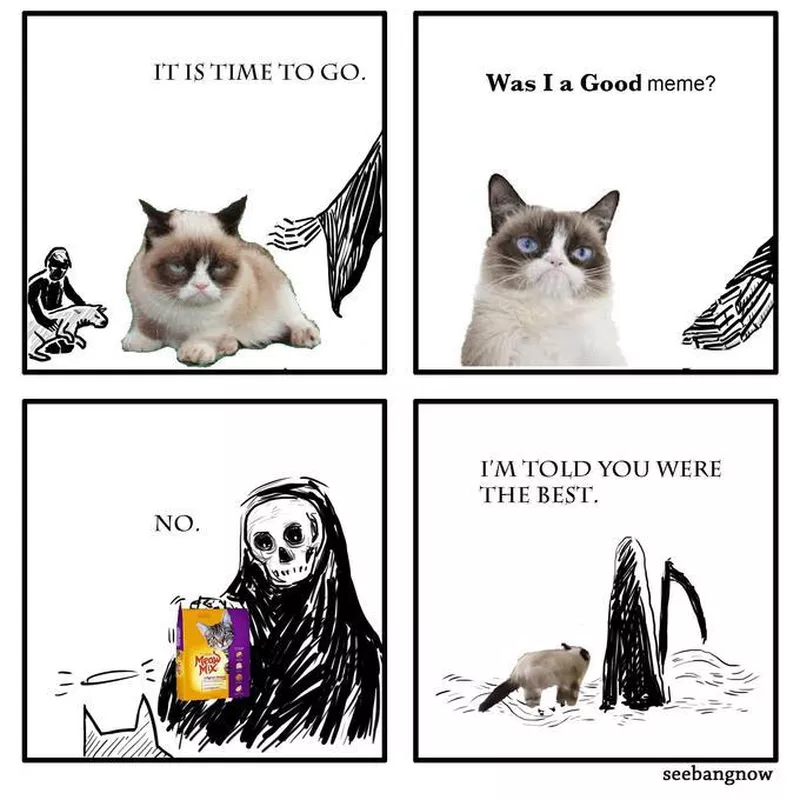 Grumpy Cat death