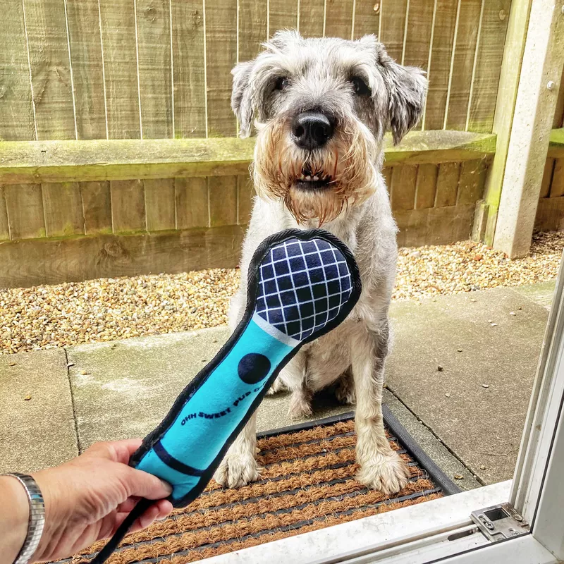 Dog interview comedy photo
