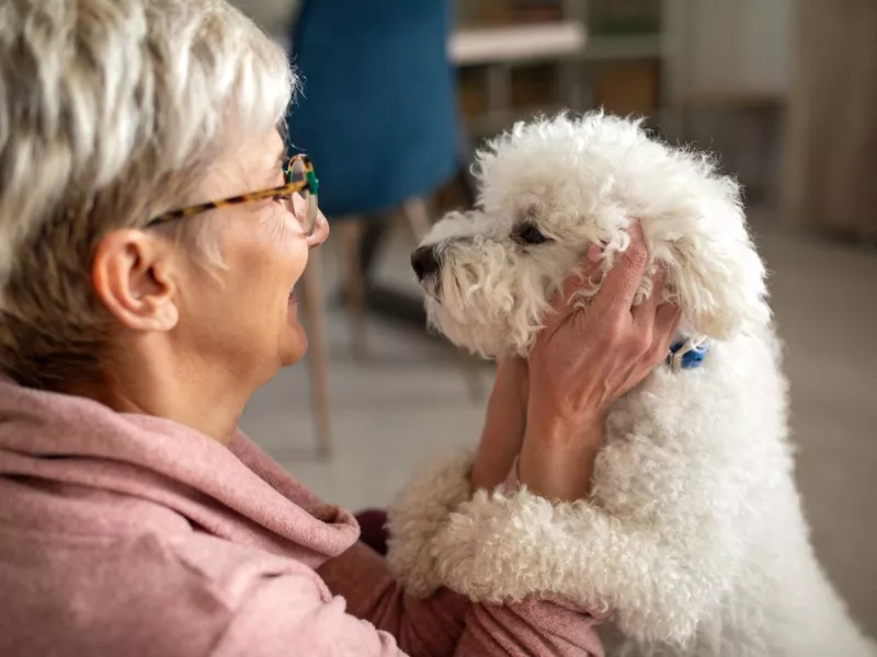 Woman playing with her dog at home