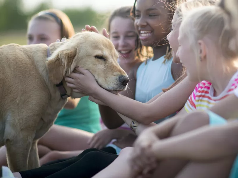 Young people playing with a puppy