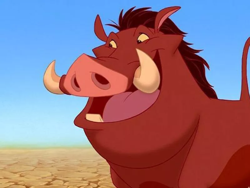 The Lion King's Pumbaa