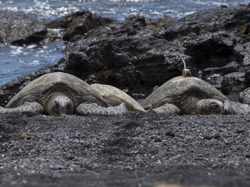Hawaii Volcanoes National Park