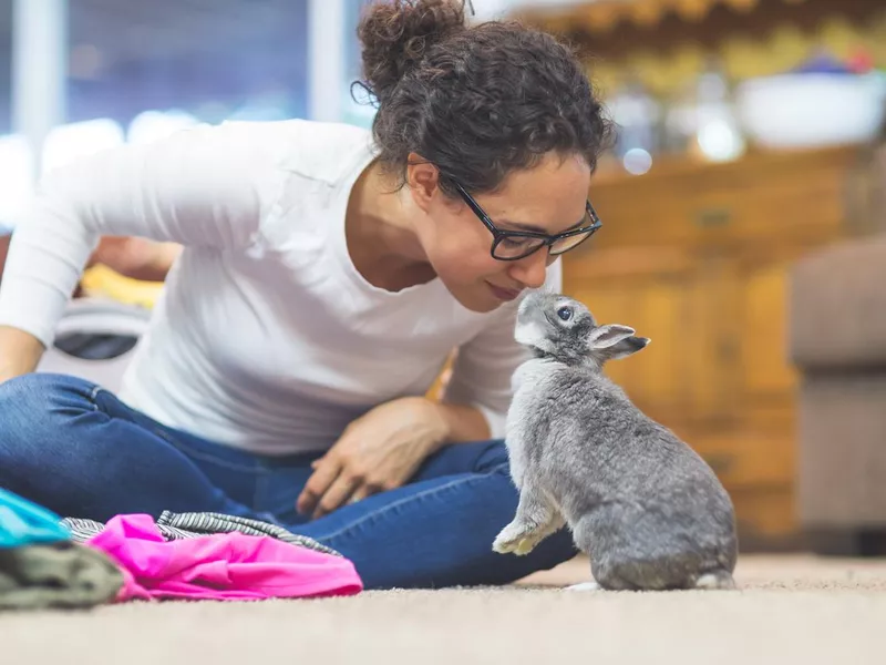 Woman touching noses with a bunny