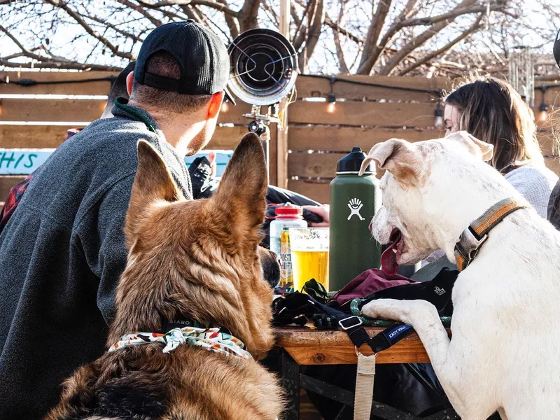 Romero's K9 Club & Taphouse