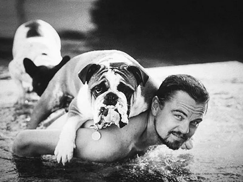 Leo and pets