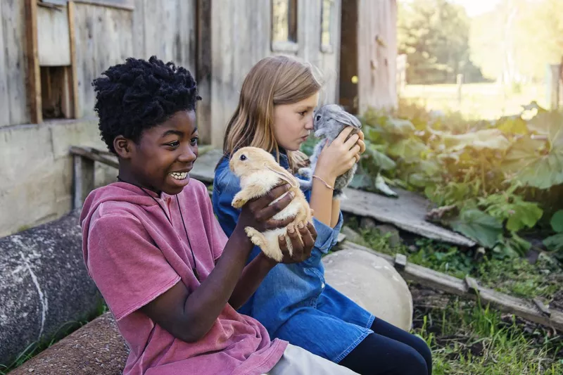 Kids handling cute bunnies