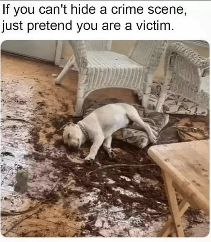 Puppy napping in a pile of dirt