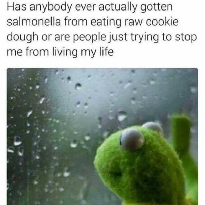 Kermit looking out window