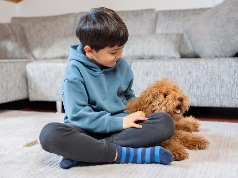 Little boy with an emotional support dog