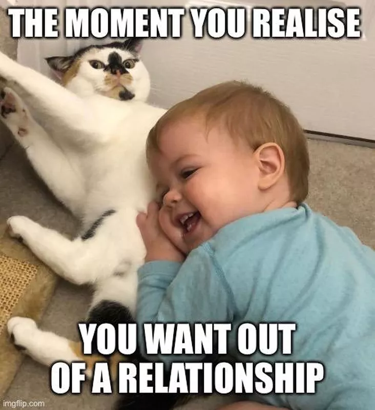 cat and baby