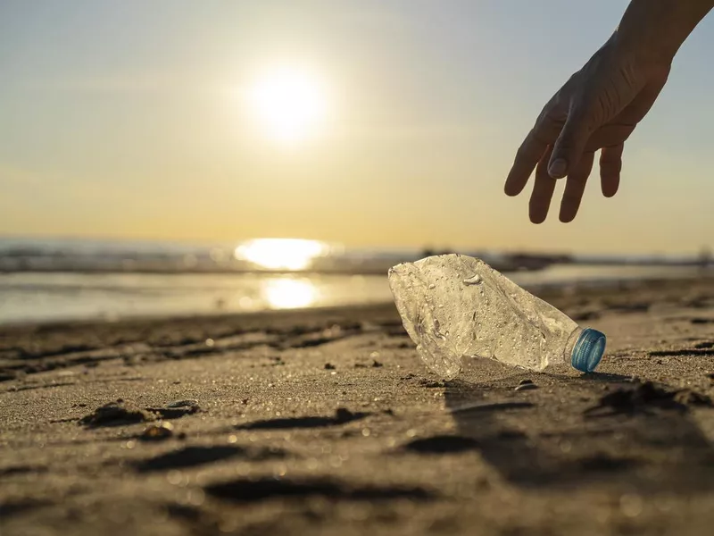 Volunteer man and plastic bottle, clean up day, collecting waste on sea beach